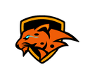 Team Vegavath shield
