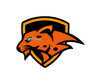 Team Vegavath shield
